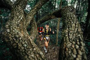 BIB: 
                            <button type="button" onclick="openModal(25392837)" class="btn btn-primary btn-sm float-right btn-popup" data-toggle="modal" data-target=".modal-high-quality">
                        <i class="fas fa-shopping-cart"></i> Add to Cart
                    </button>
                                            <button type="button" onclick="isThisMe(25392837, true)" class="btn btn-success btn-sm float-right btn-popup btn-isme hidden" data-toggle="tooltip" data-placement="bottom" title="นี่คือรูปของคุณใช่ไหม คลิกที่นี่เพื่อเอาเข้าอัลบั้ม">
                        <i class="fas fa-plus"></i> Add to album
                    </button>
                    <button type="button" onclick="isThisMe(25392837, false)" class="btn btn-warning btn-sm float-right btn-popup btn-isnotme hidden">
                        <i class="fas fa-ban"></i> Remove from album
                    </button>